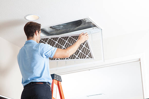 Best Air Conditioning Cleaning in Grant, MN